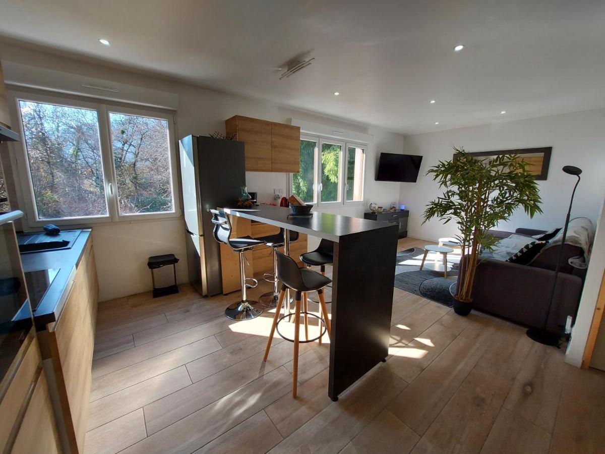 Superbe Appartement Au Centre De St Jorioz サン・ジョリオ エクステリア 写真